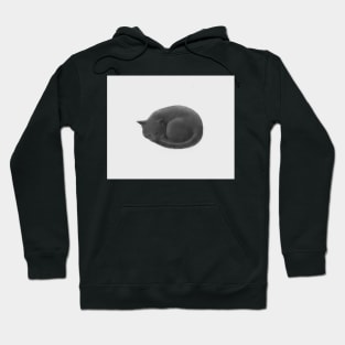 Sleeping Cat Hoodie